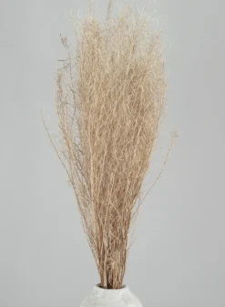 30in Long Bleached Flixweed Bunch