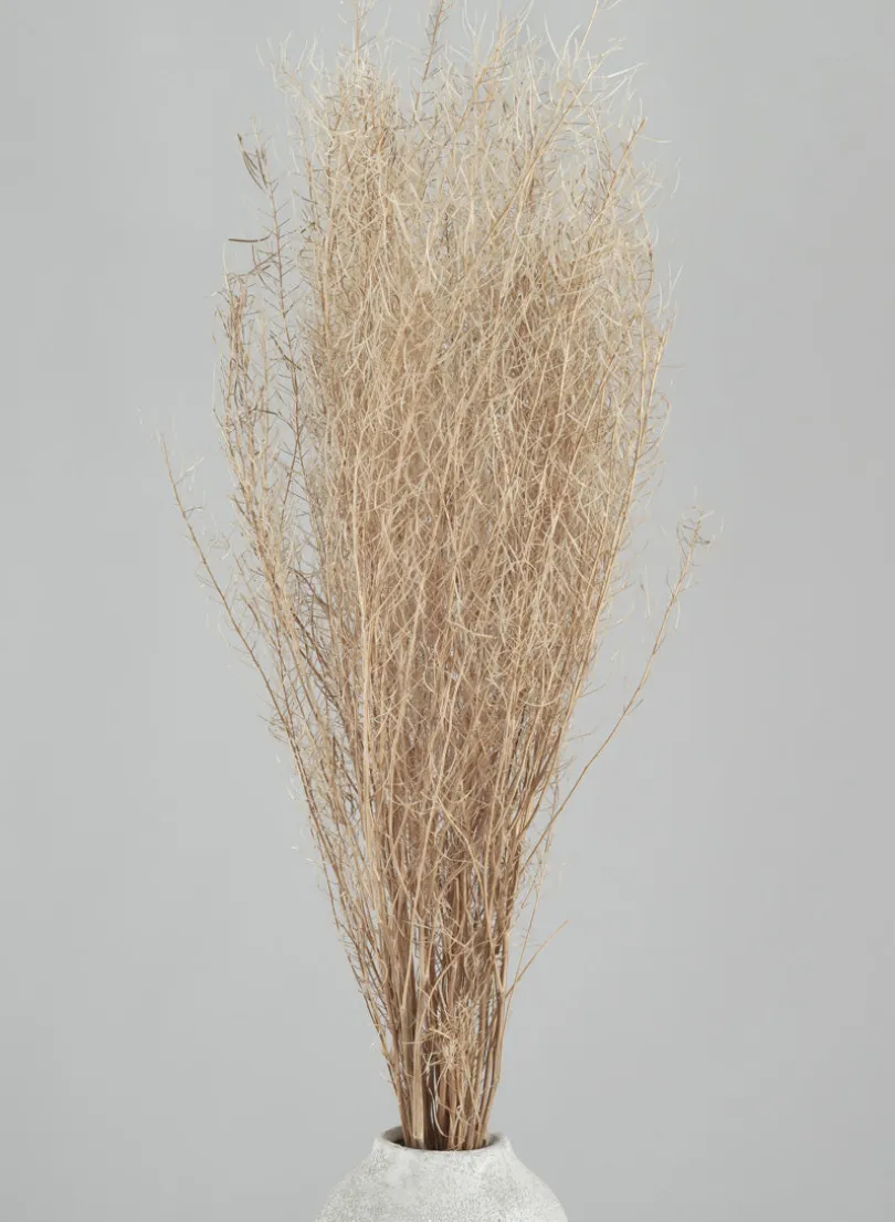 30in Long Bleached Flixweed Bunch