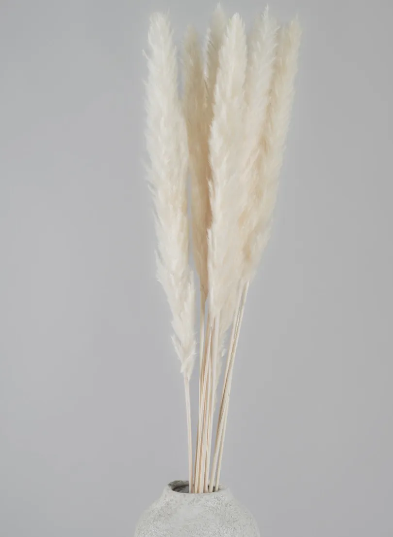 28in Long Bleached Pampas Grass Bunch