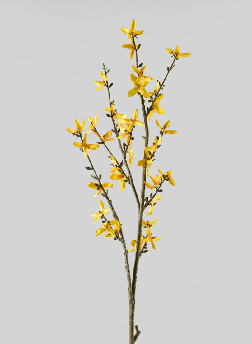 24in Long Blooming Forsythia Branch, Case of 12
