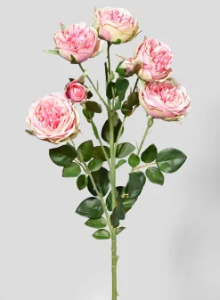 30in Long Blooming Pink Roses Spray