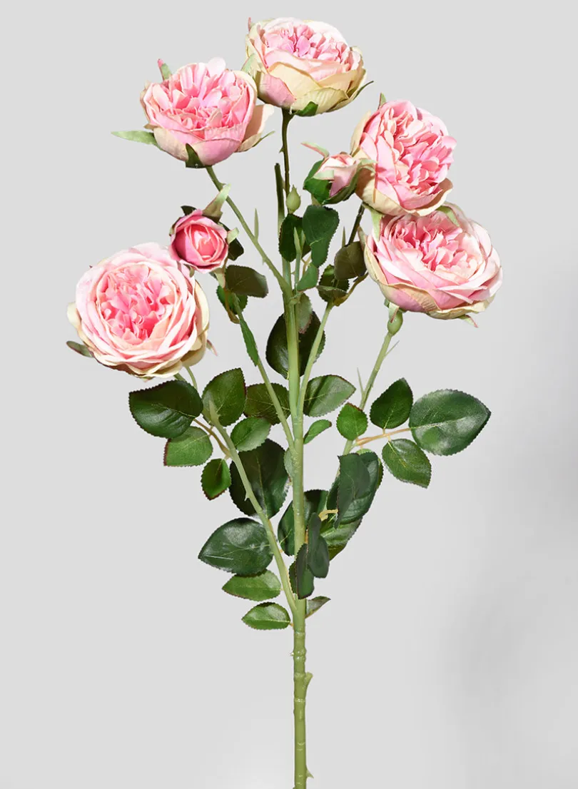 30in Long Blooming Pink Roses Spray