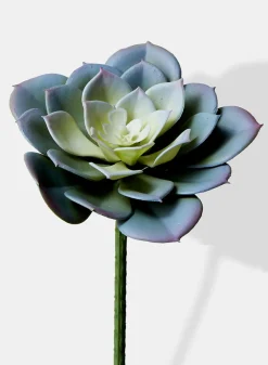 4in Long Blue Artificial Echeveria Pick, Case of 12