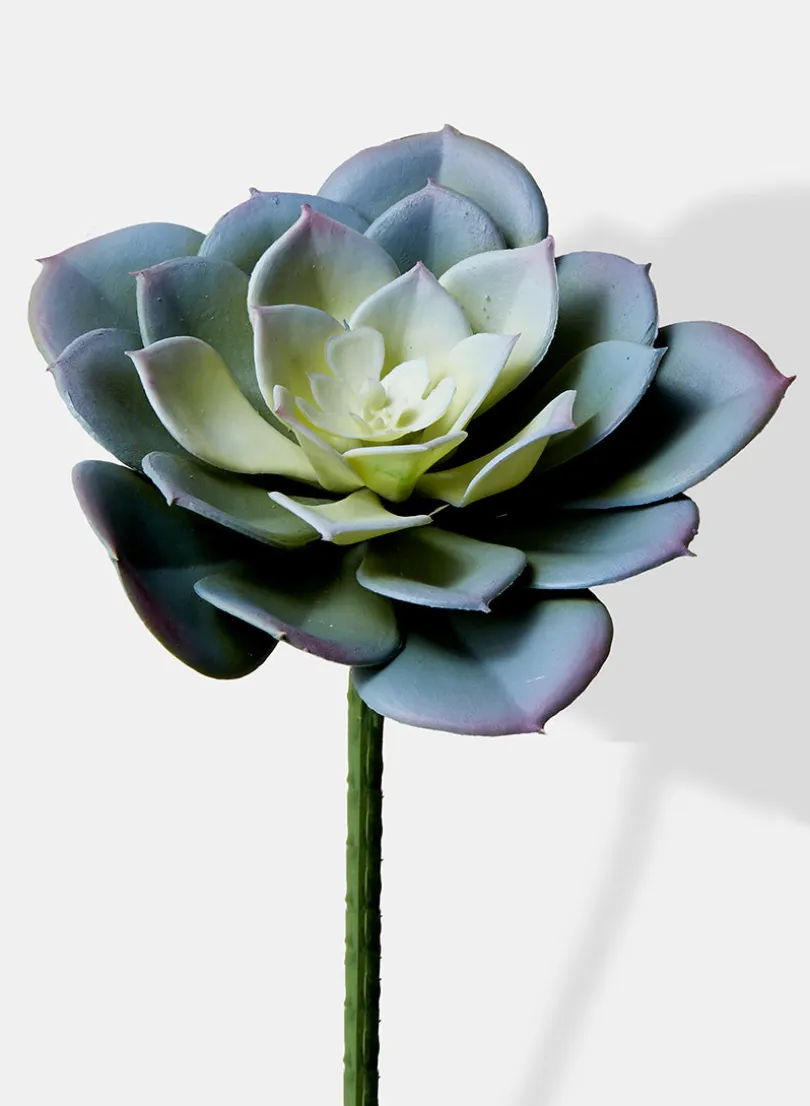 4in Long Blue Artificial Echeveria Pick, Case of 12