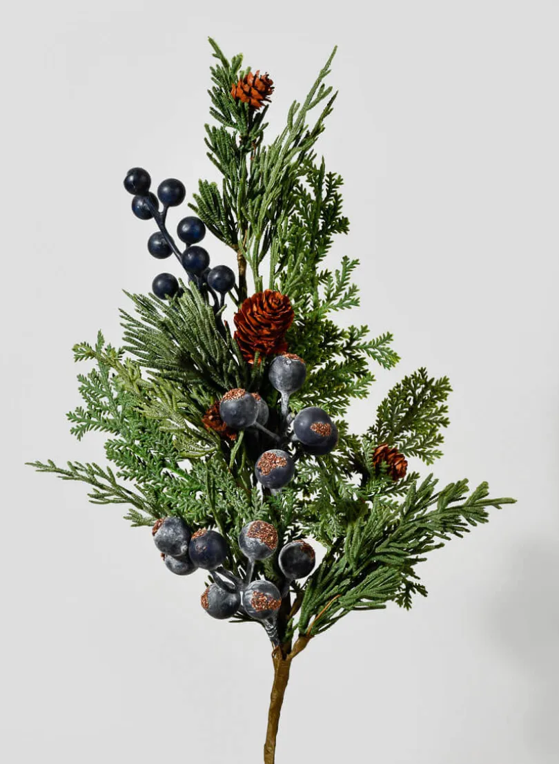 14in Long Blueberry Cypress Pick, Case of 12