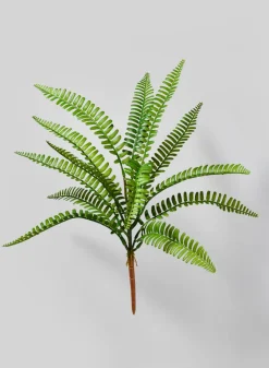 17in Long Boston Fern Pick, Case of 12