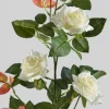31in Long British Garden Rose Blooming Stem, Case of 12