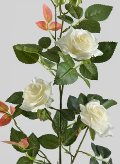 31in Long British Garden Rose Blooming Stem, Case of 12