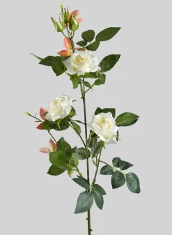 31in Long British Garden Rose Blooming Stem, Case of 12