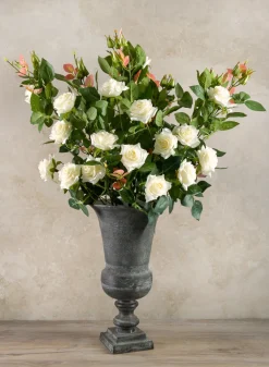 31in Long British Garden Rose Blooming Stem, Case of 12