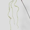 54in Long Brown & Green Vine, Case of 12