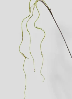 54in Long Brown & Green Vine, Case of 12
