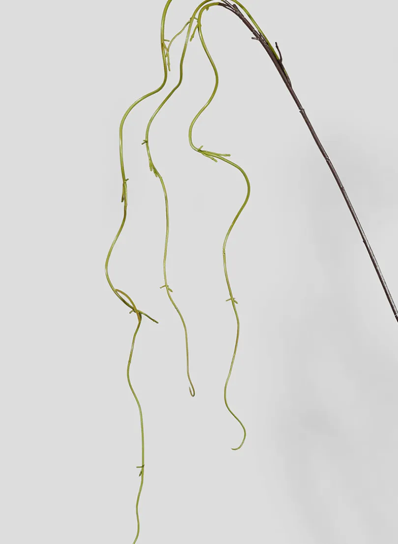 54in Long Brown & Green Vine, Case of 12