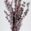 20in Long Burgundy Dried Eucalyptus Bunch
