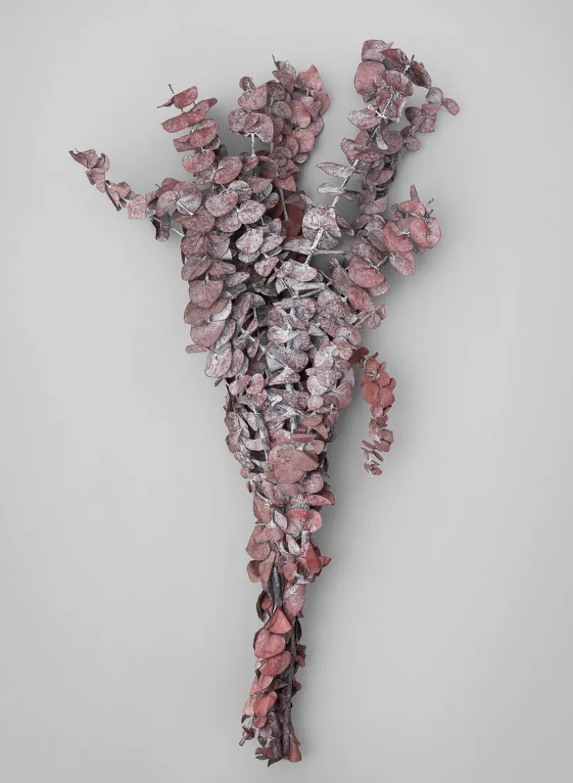 20in Long Burgundy Dried Eucalyptus Bunch