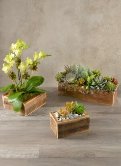 7in Long Burnt Wood Box, Mini