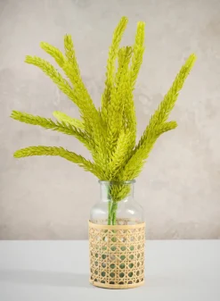 14in Long Burro's Tail Pick, Case of 12