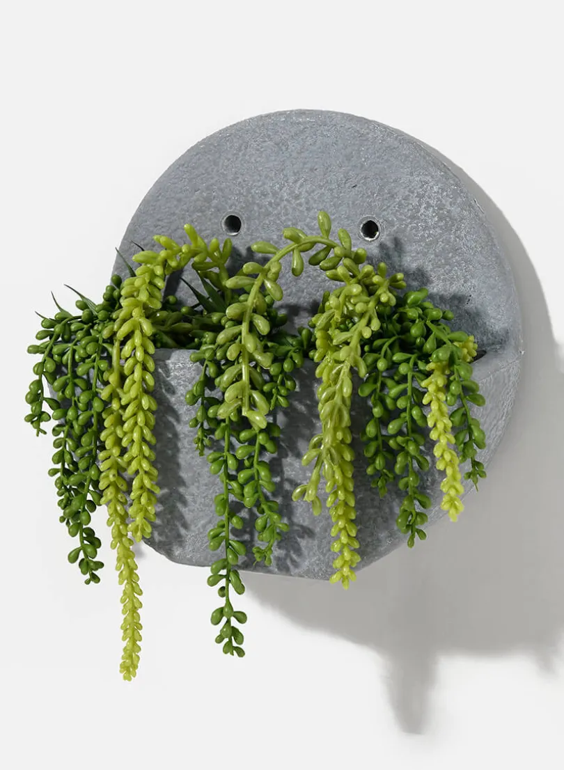 13in Long Burro's Tail Pick, Case of 12