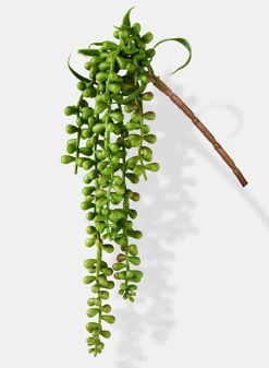 13in Long Burro's Tail Pick, Case of 12