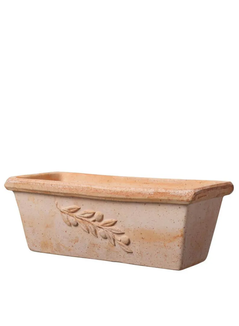 12in Long Cassetta Olive Flower Box