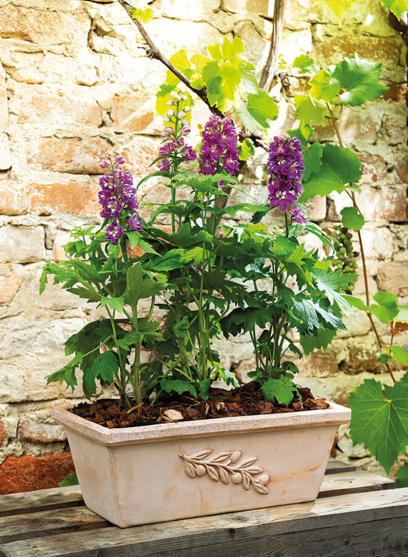 12in Long Cassetta Olive Flower Box
