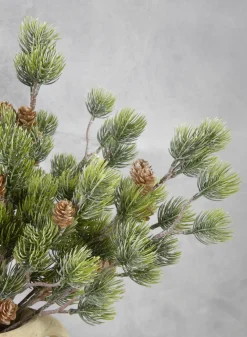 15in Long Cedar Bush x 5 Heads with Light Frost