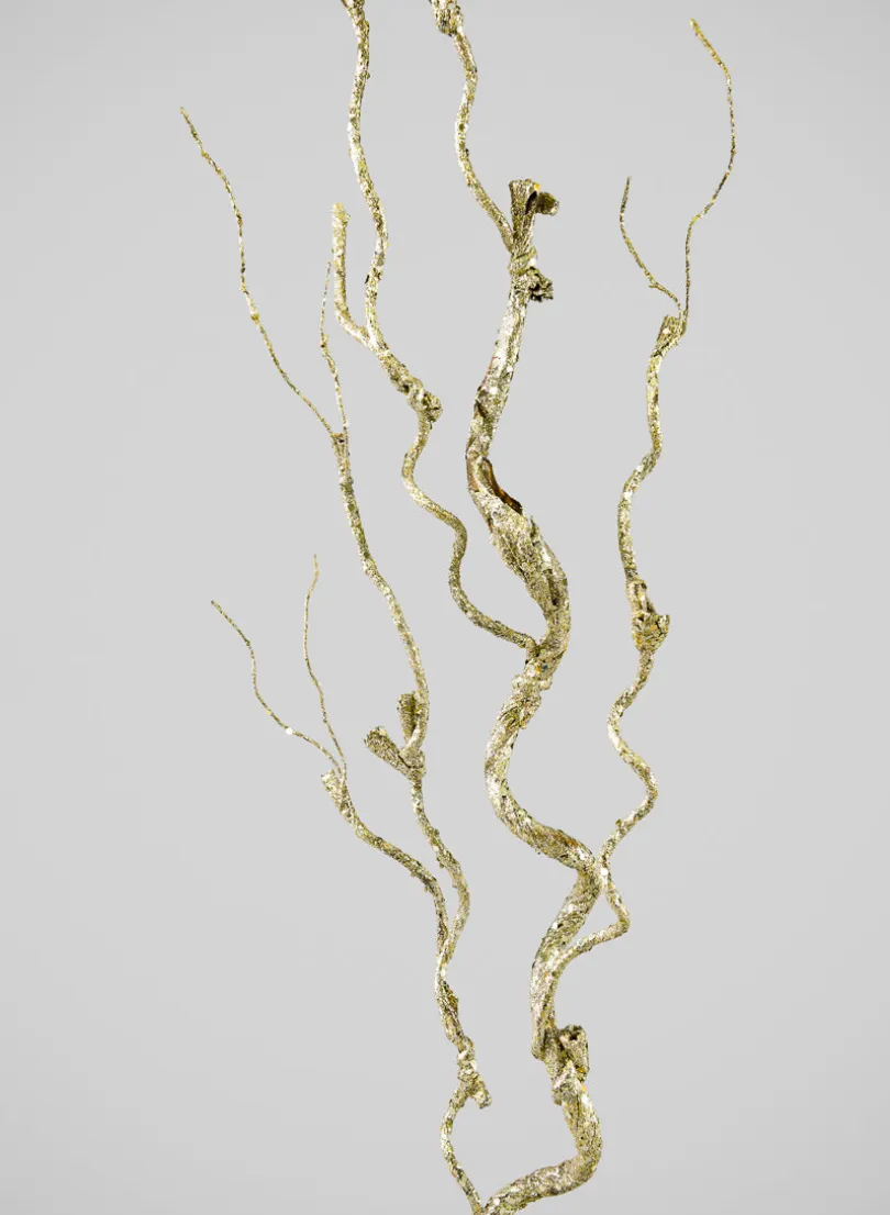 36in Long Champagne Curly Vine, Case of 12