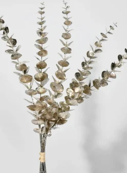 26in Long Champagne Eucalyptus Pick