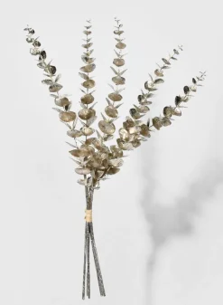 26in Long Champagne Eucalyptus Pick
