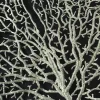 24in Long Champagne Glitter Coral Pick, Case of 12