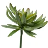 7 1/2in Long Chick Succulent Pick, Case of 12
