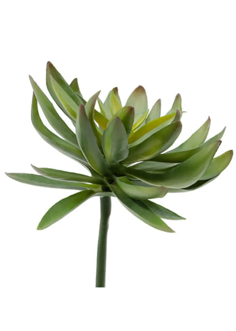 7 1/2in Long Chick Succulent Pick, Case of 12