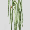 36in Long Crassula Succulent Vine, Case of 12