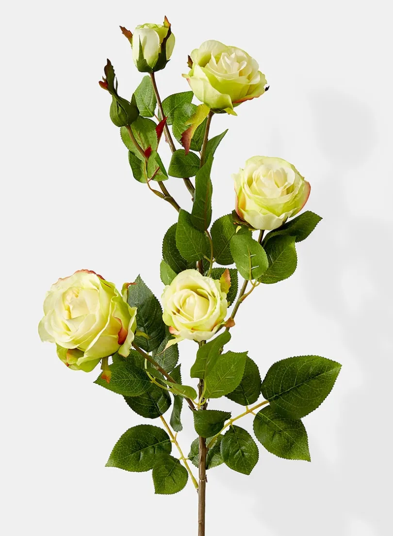 38in Long Cream Hui Rose Spray