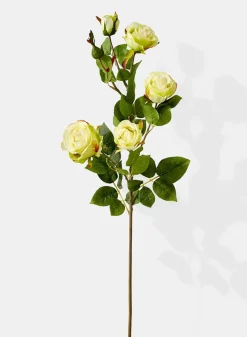 38in Long Cream Hui Rose Spray