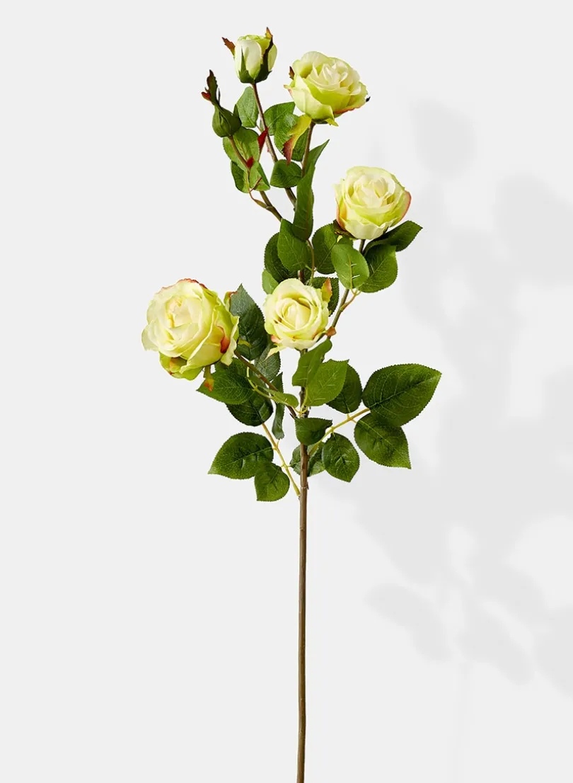 38in Long Cream Hui Rose Spray
