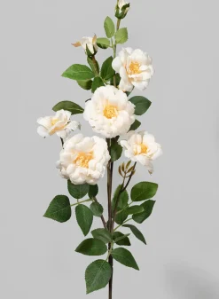 28in Long Cream Icelandic Rose Spray, Case of 12