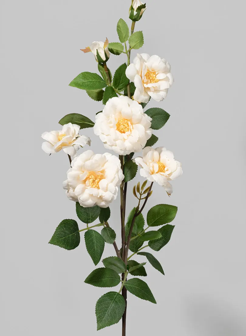 28in Long Cream Icelandic Rose Spray, Case of 12