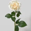21in Long Cream Rose, Case of 12