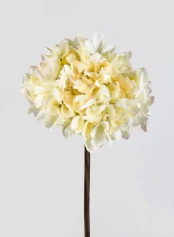 20in Long Cream Single Hydrangea Spray, Case of 12
