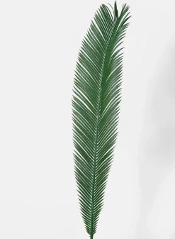 35in Long Cycas Palm Branch, Case of 12