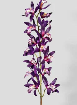 41in Long Deep Purple Dendrobium Orchid, Case of 12