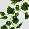 59in Long Devil's Ivy Vine, Case of 12
