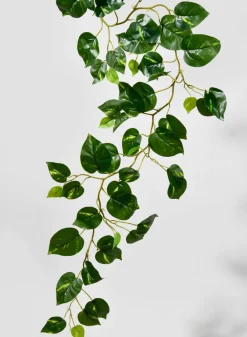 59in Long Devil's Ivy Vine, Case of 12