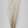 30in Long Dried Pussy Willow Bunch