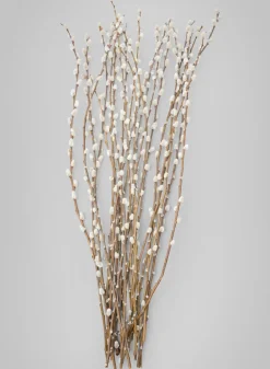 30in Long Dried Pussy Willow Bunch