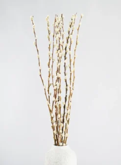 30in Long Dried Pussy Willow Bunch