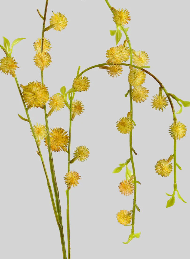 38in Long Drooping Globe Thistle Branch, Case of 12