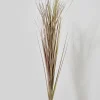 30in Long Dry Onion Grass Pick