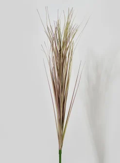 30in Long Dry Onion Grass Pick